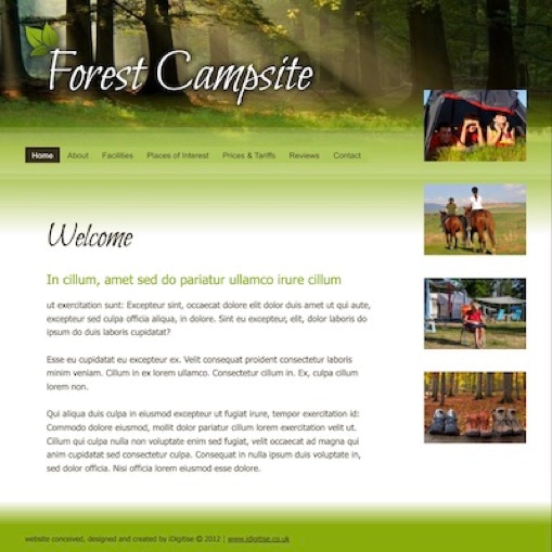 A homepage of an example camping website
